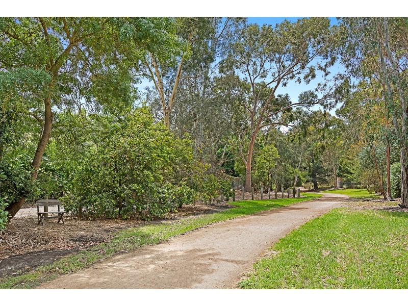 3/71 Winfield Road, Balwyn North VIC 3104