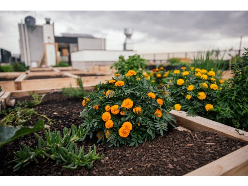 401/9 FLORENCE STREET, Brunswick VIC 3056