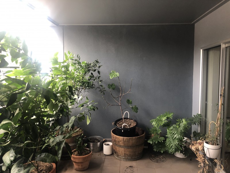 3/230 Lygon Street, Brunswick East VIC 3057