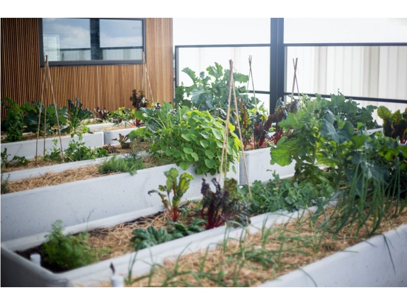 101/6 Florence Street, Brunswick VIC 3056