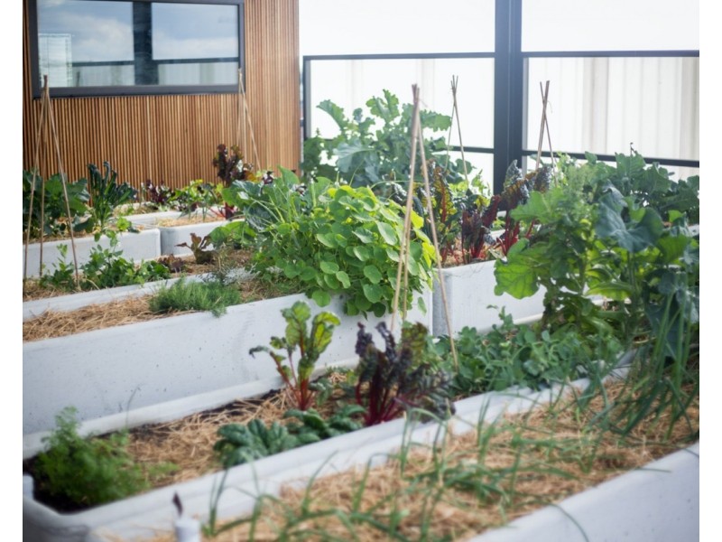 101/6 Florence Street, Brunswick VIC 3056