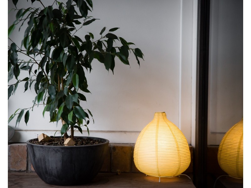 101/6 Florence Street, Brunswick VIC 3056