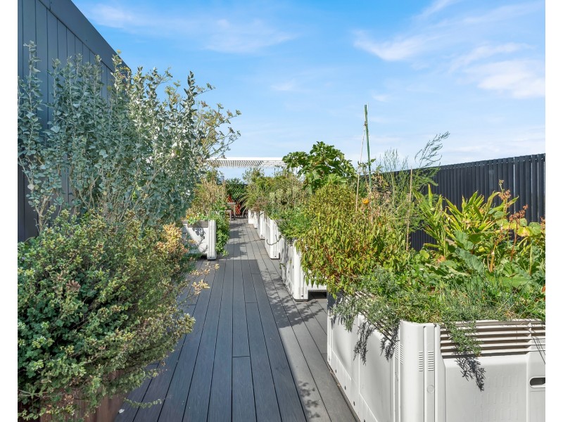 205/27 Wilson Avenue, Brunswick VIC 3056