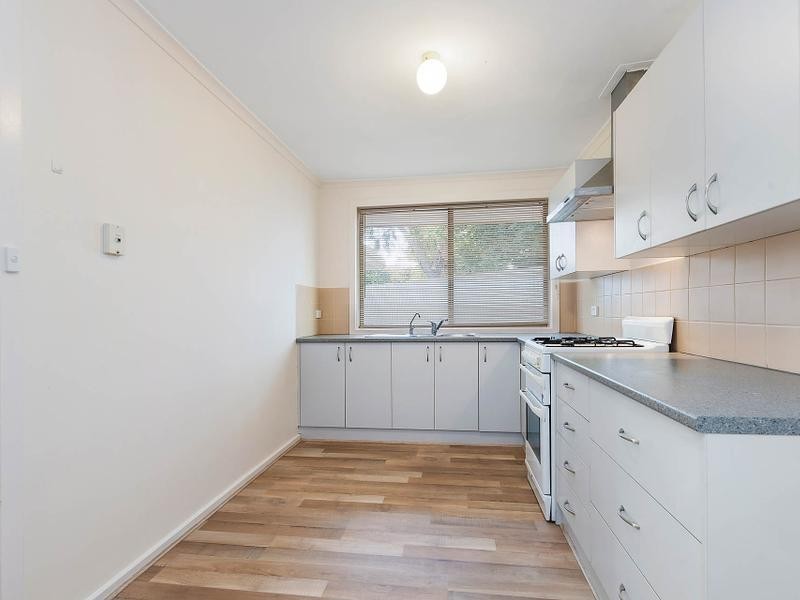 20 Roclin Avenue, Newton SA 5074