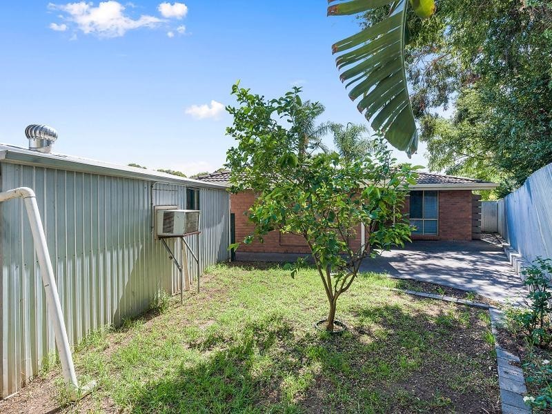20 Roclin Avenue, Newton SA 5074