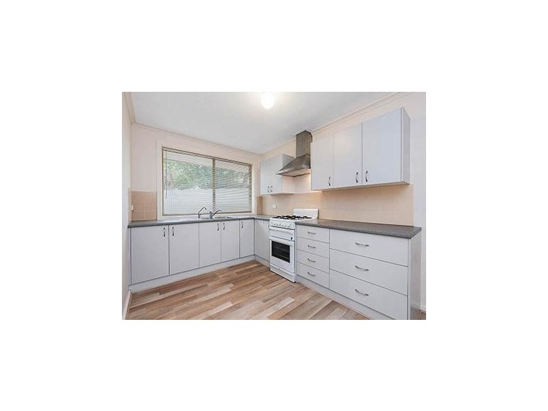 20 Roclin Avenue, Newton SA 5074