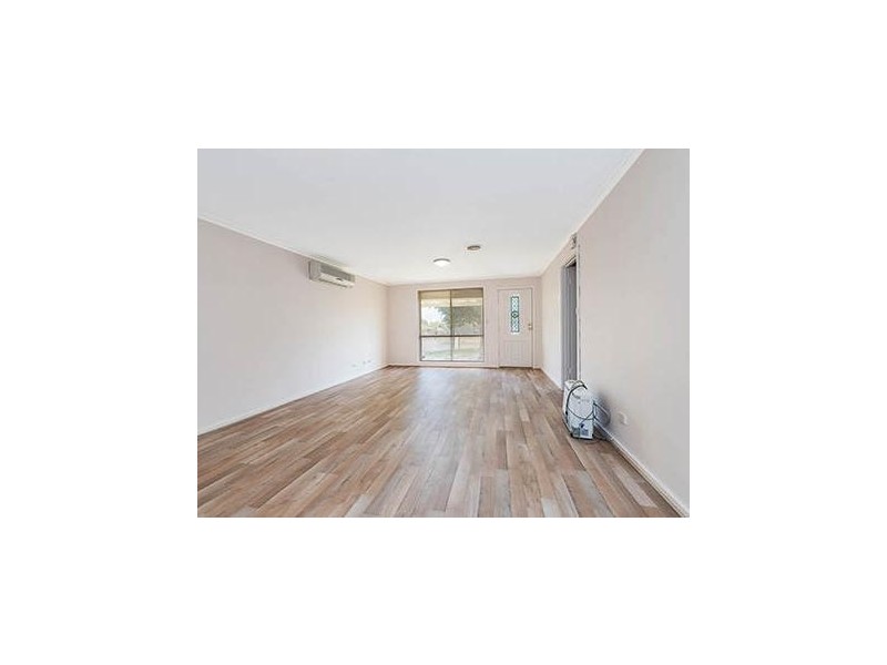 20 Roclin Avenue, Newton SA 5074