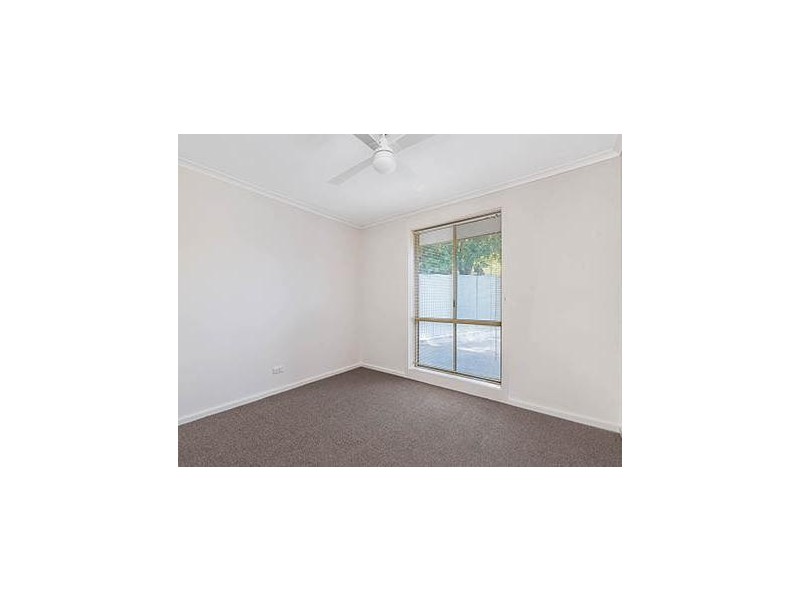 20 Roclin Avenue, Newton SA 5074