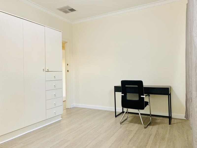 19 HAWKER AVENUE, Plympton Park SA 5038