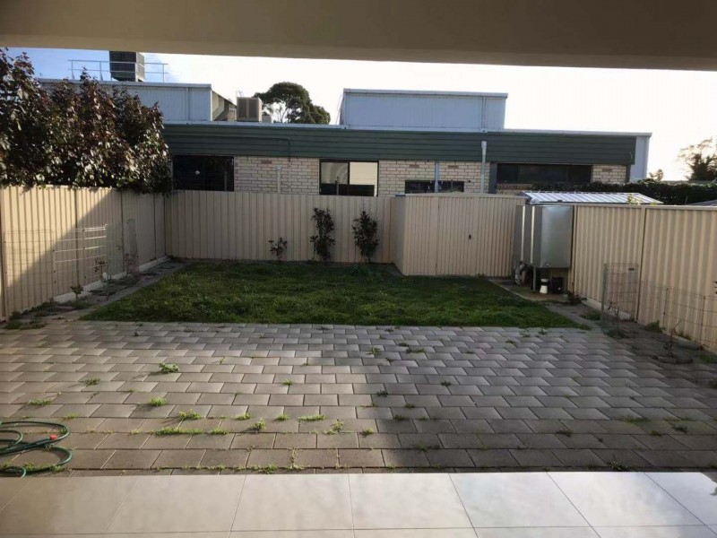 6 Walter Street, Kidman Park SA 5025