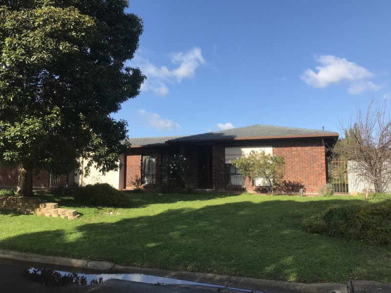 14 ROCLIN AVENUE, Newton SA 5074