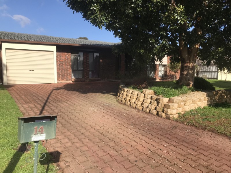 14 ROCLIN AVENUE, Newton SA 5074