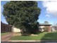 14 ROCLIN AVENUE, Newton SA 5074