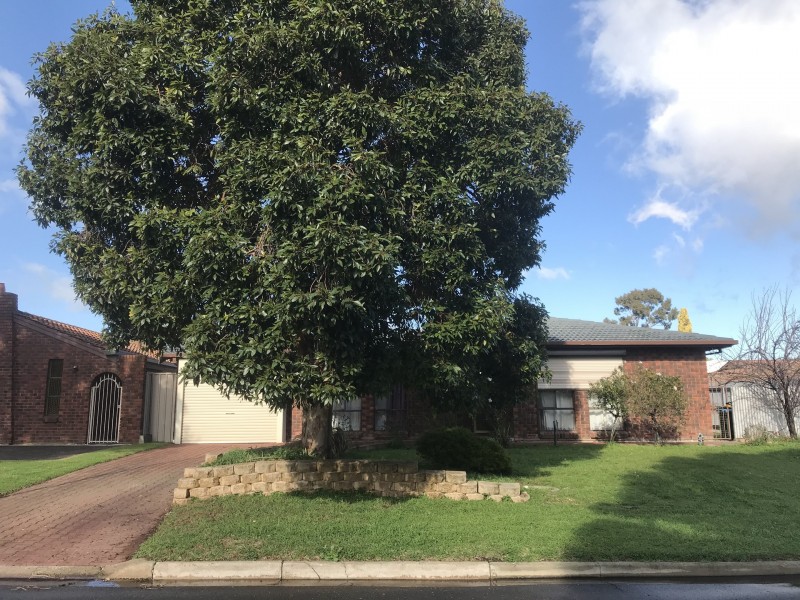 14 ROCLIN AVENUE, Newton SA 5074