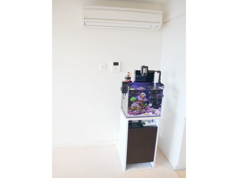 307/10 Balfours Way, Adelaide SA 5000