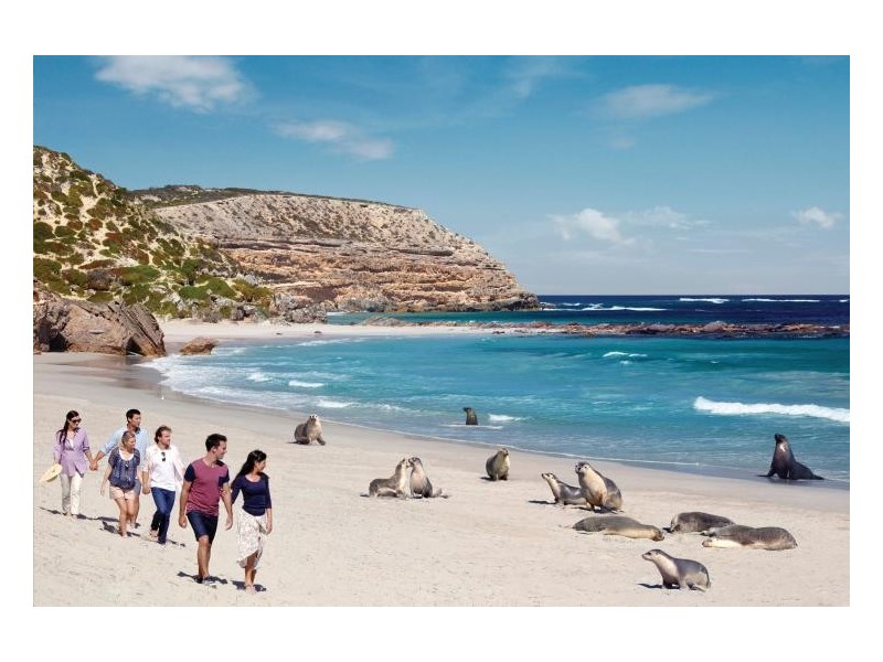 173 Osmanli Rd, D’estrees Bay SA 5223