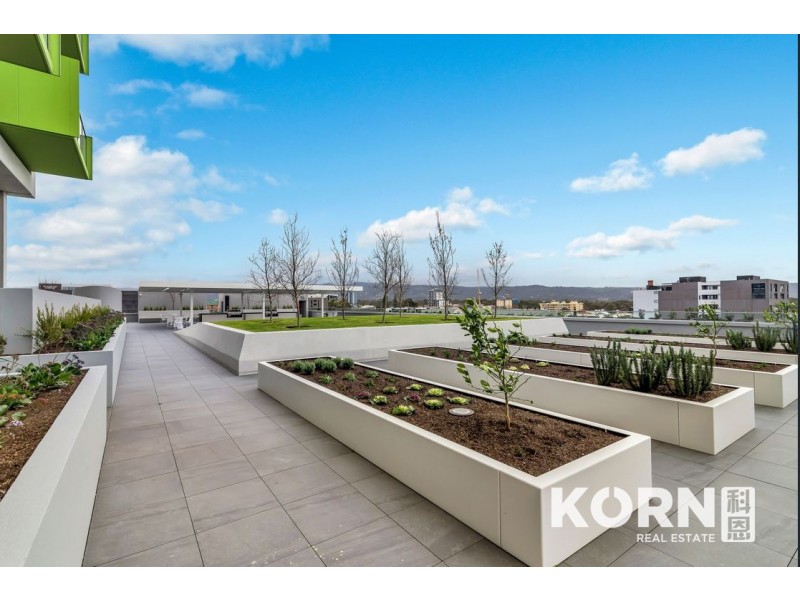 2307/29 Angas Street, Adelaide SA 5000