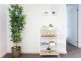 1911/160 Grote Street, Adelaide SA 5000