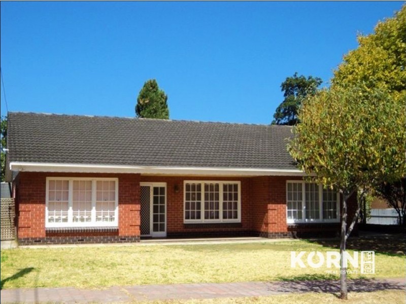 14 Amadio Crescent, Campbelltown SA 5074