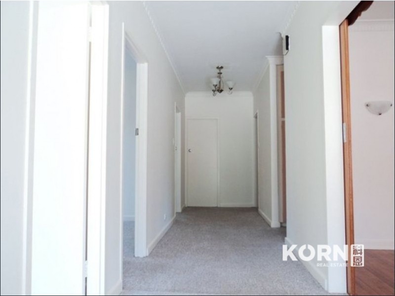 14 Amadio Crescent, Campbelltown SA 5074