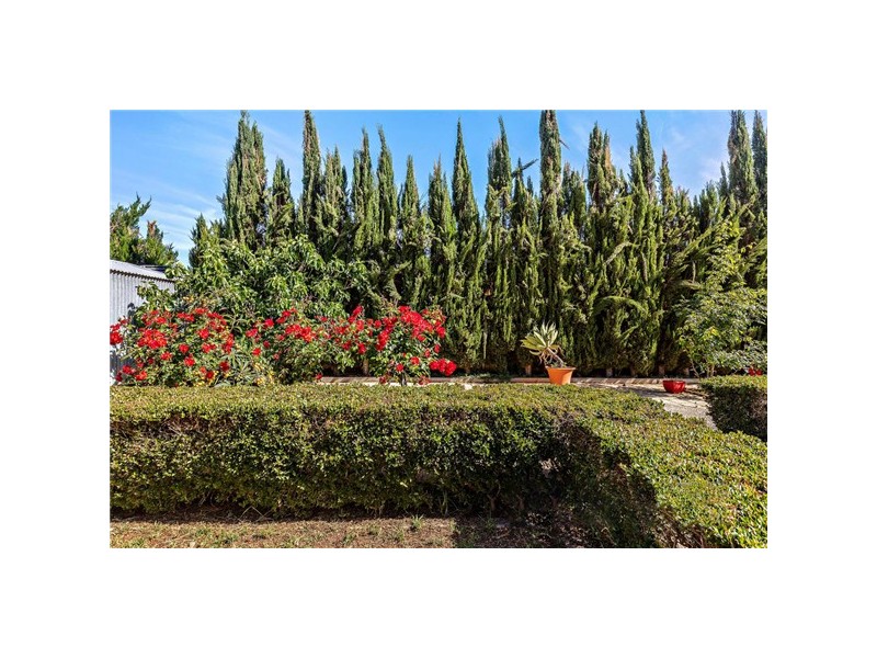 52 Reid Avenue, Tranmere SA 5073