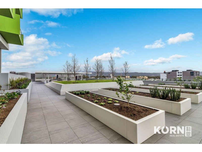 805/29 Angas Street, Adelaide SA 5000