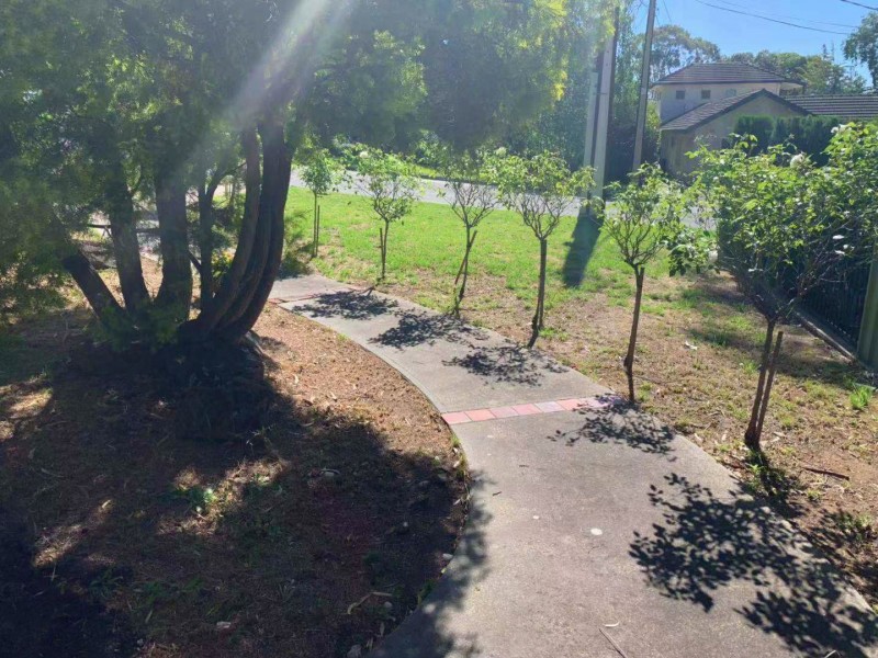 42 Caloroga Street, Wattle Park SA 5066