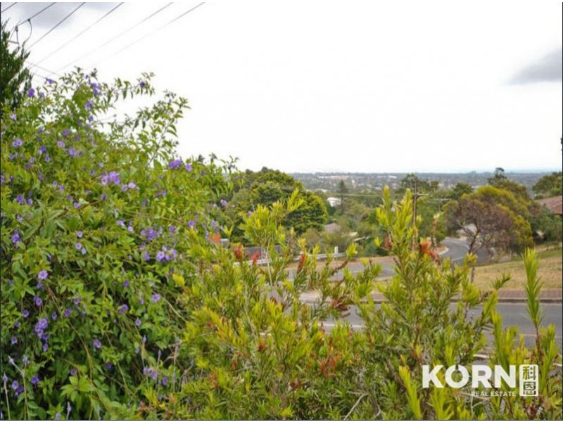 82 Shepherds Hill Road, Bellevue Heights SA 5050