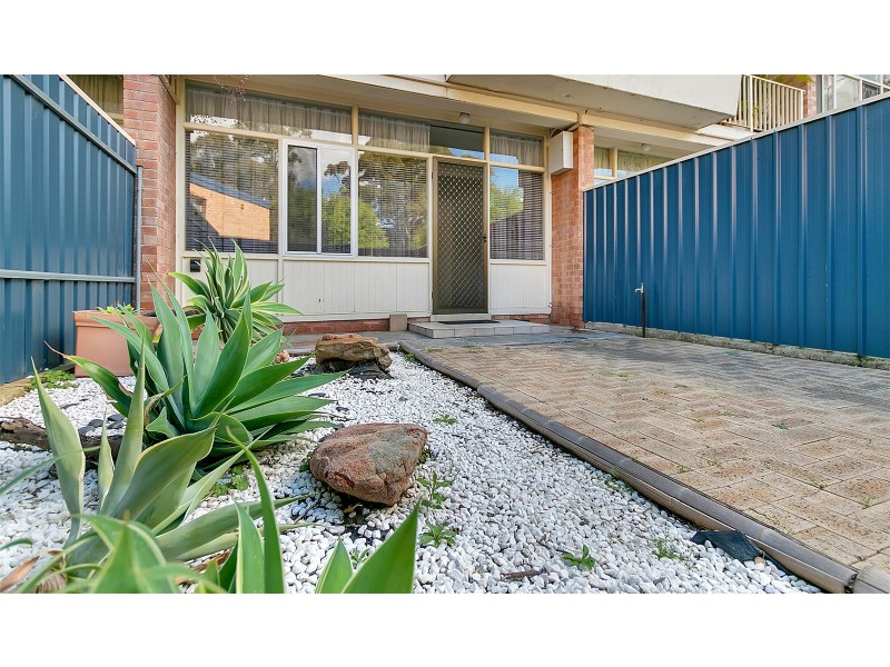6/311 South Terrace, Adelaide SA 5000