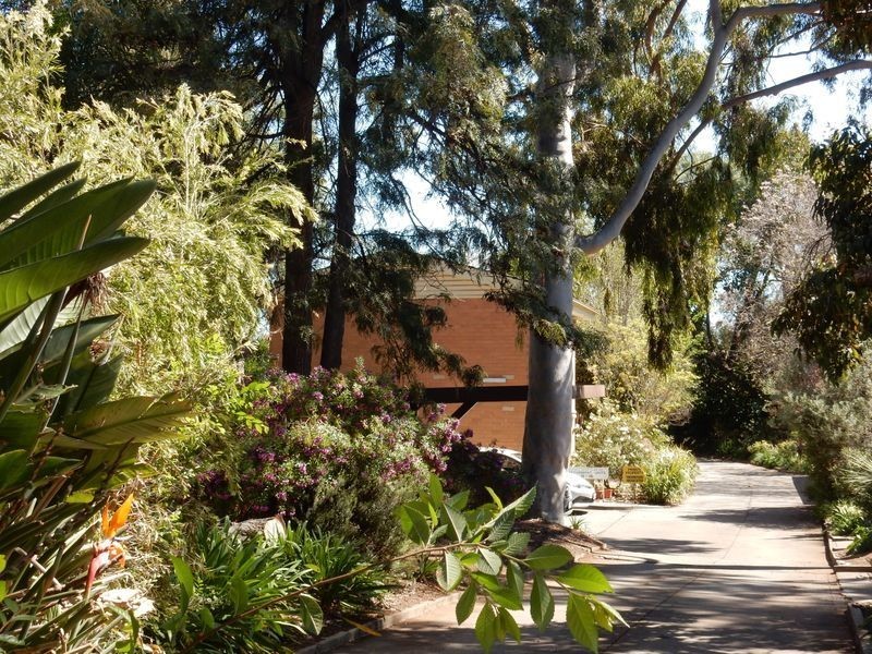 6/71 Queen Street, Norwood SA 5067