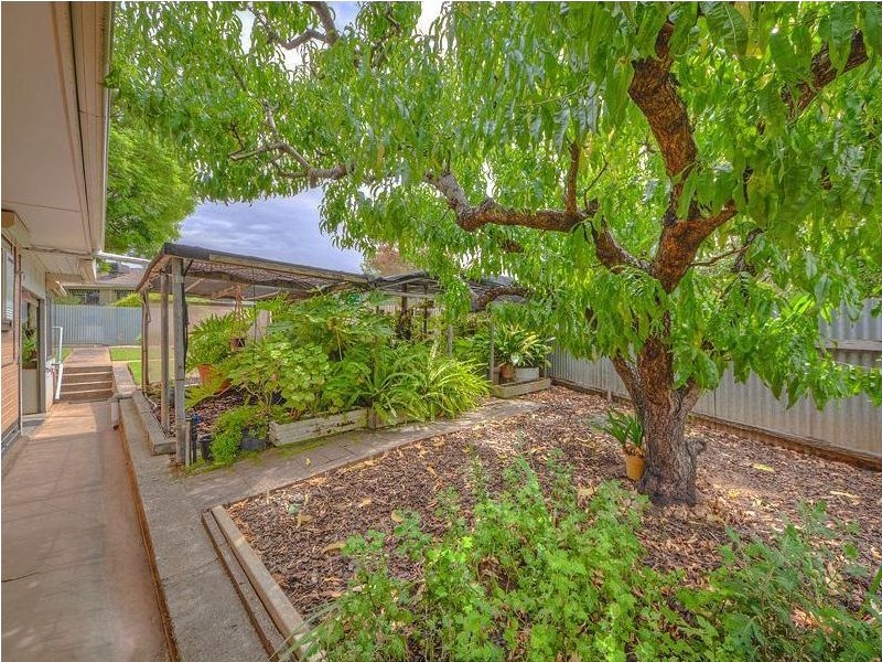 86 Flinders Drive, Valley View SA 5093