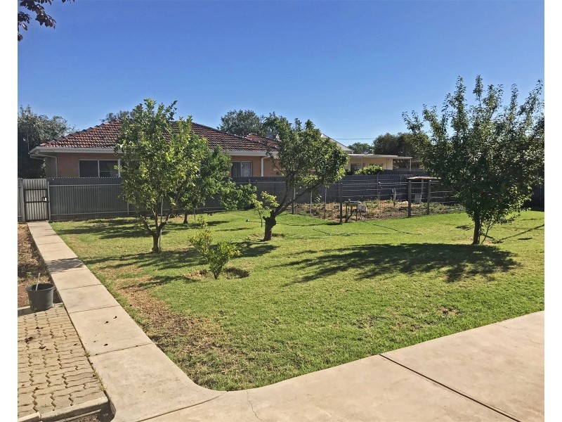 33 Rosetta Street, Collinswood SA 5081