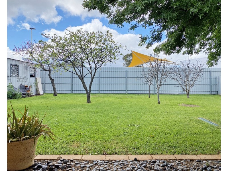 31 Oakleigh Road, Marion SA 5043