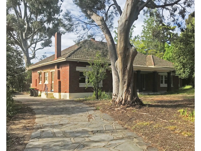 71 Statenborough Street, Erindale SA 5066
