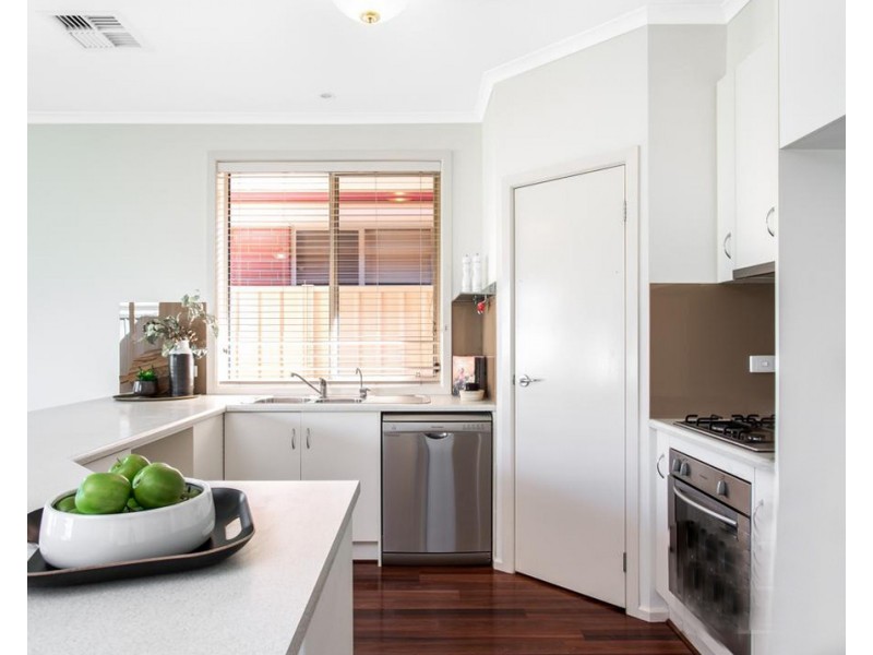 36 South Terrace, Plympton Park SA 5038