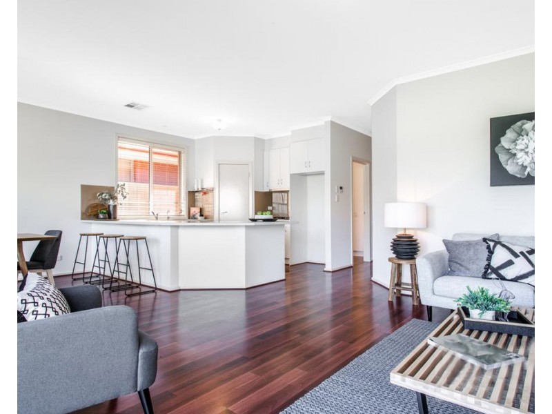 36 South Terrace, Plympton Park SA 5038