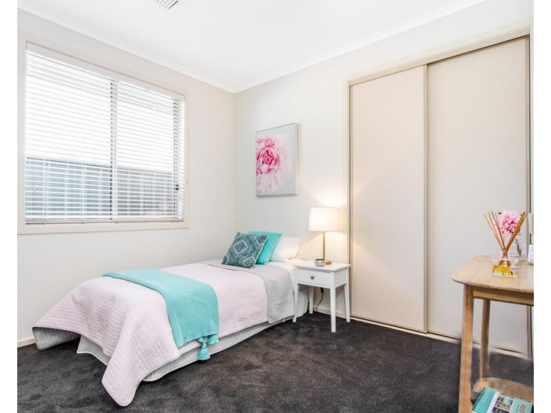 36 South Terrace, Plympton Park SA 5038