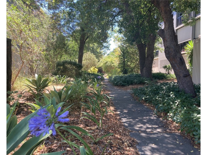 28/21 South Terrace, Adelaide SA 5000