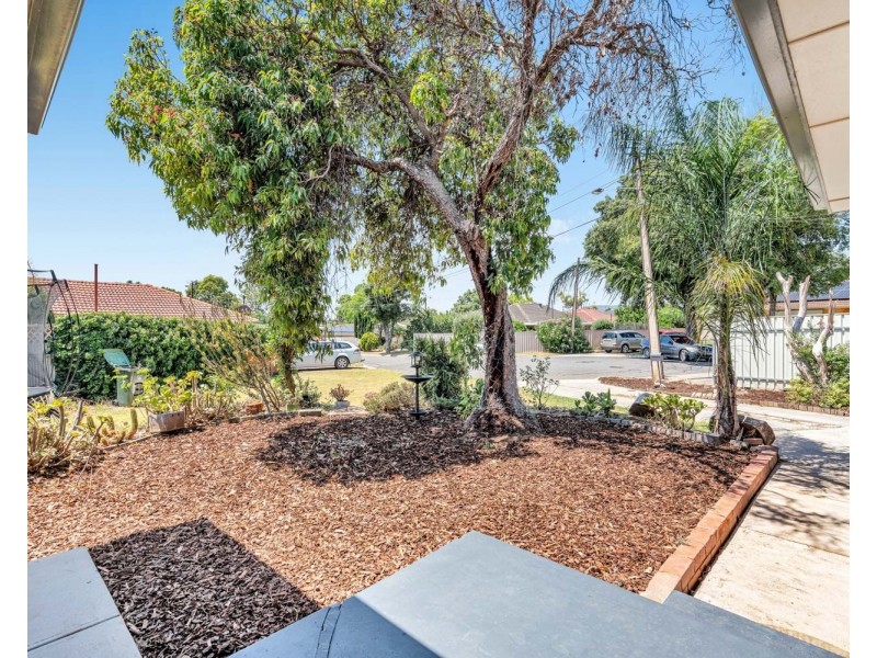 3 Reen Court, Sturt SA 5047