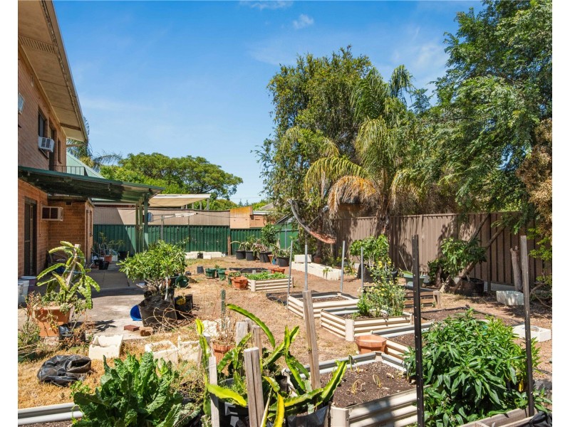 342 Morphett Road, Warradale SA 5046