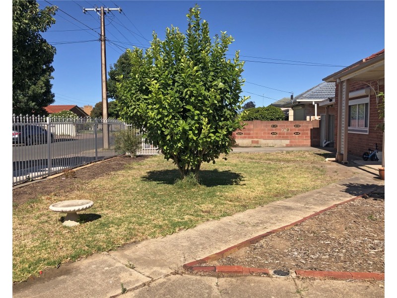 37 Barker Avenue, South Plympton SA 5038