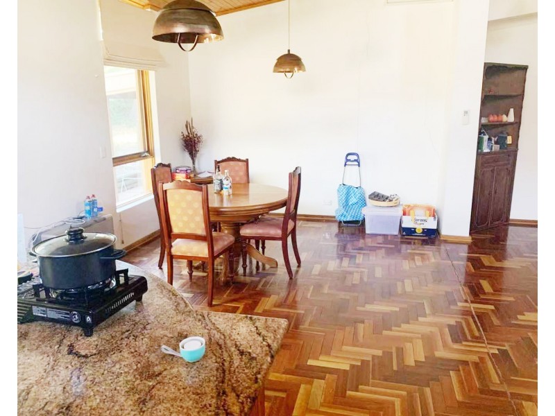 16 Alma Street, Panorama SA 5041