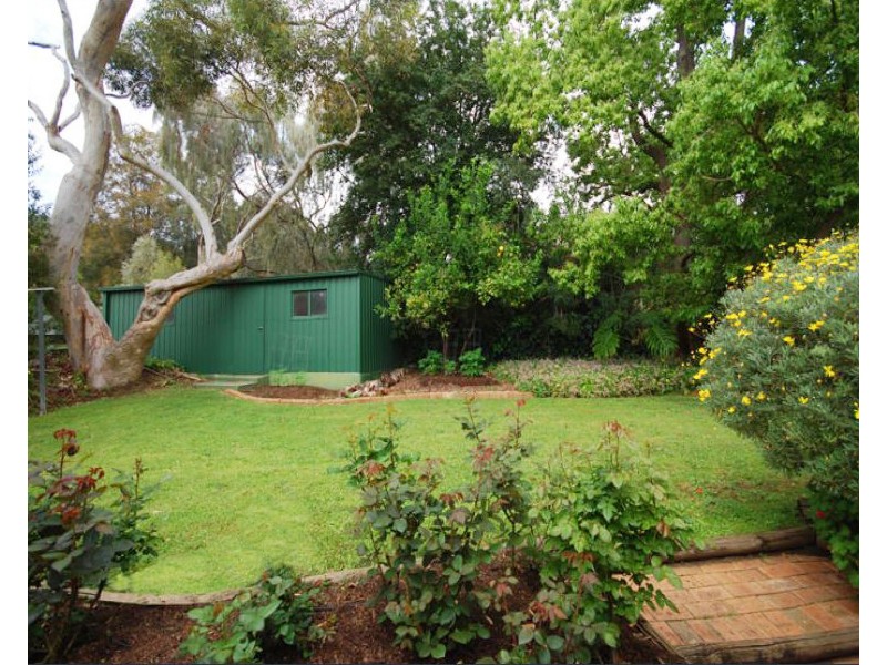 16 Alma Street, Panorama SA 5041