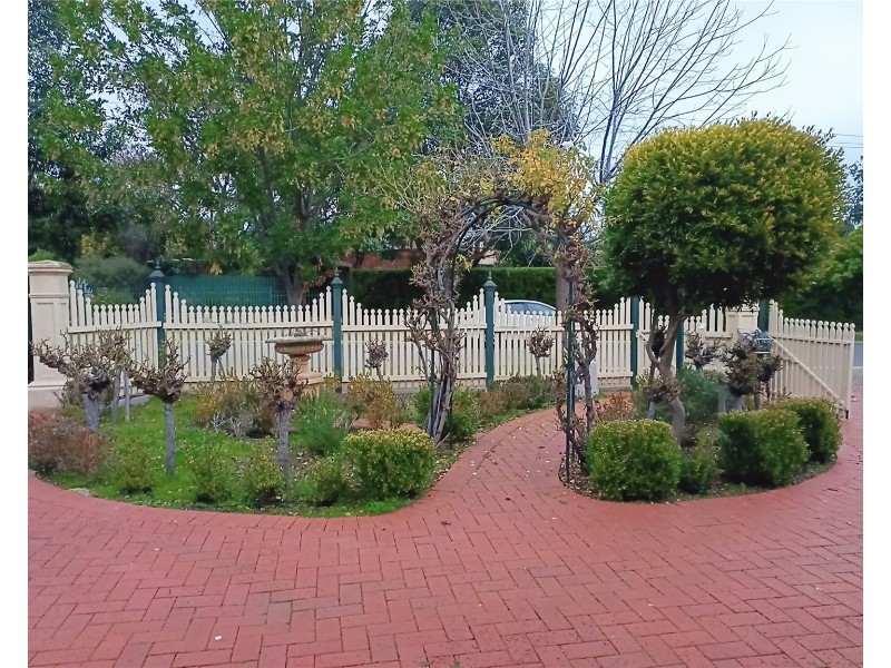 5 Jellicoe Street, Linden Park SA 5065