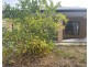 22 Rowells Road, Lockleys SA 5032