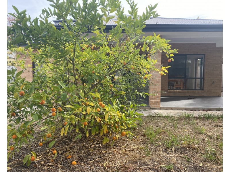 22 Rowells Road, Lockleys SA 5032