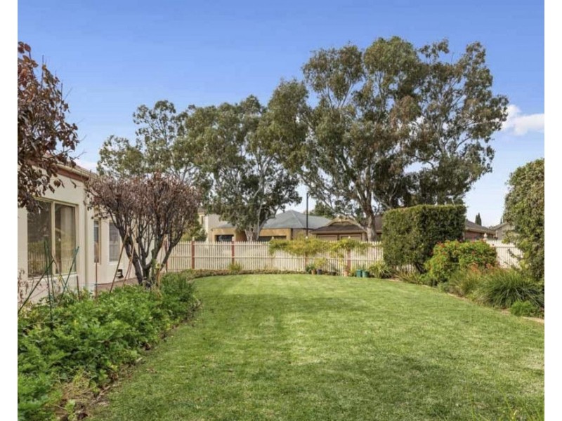 15 Sheaoak Drive, Mawson Lakes SA 5095