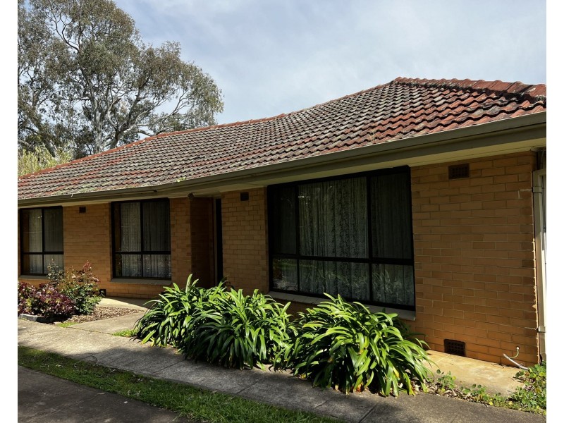 21 Clyde Street, Modbury SA 5092