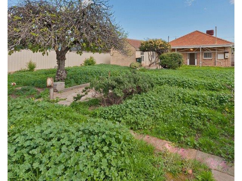 52 The Crescent, Blair Athol SA 5084