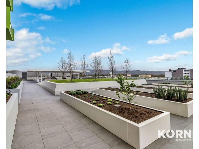 705/29 angas street, Adelaide SA 5000